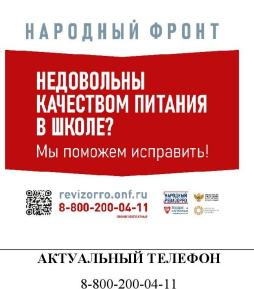 Баннер горячей линии Народного фронта и Минпросвещения России "Народный ревизорро"