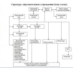 Структура образовательного учреждения